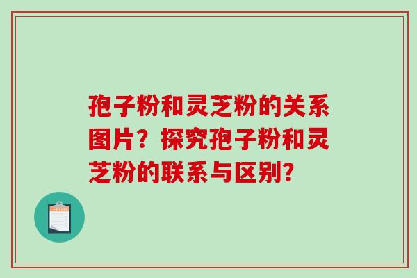 孢子粉和灵芝粉的关系图片？探究孢子粉和灵芝粉的联系与区别？