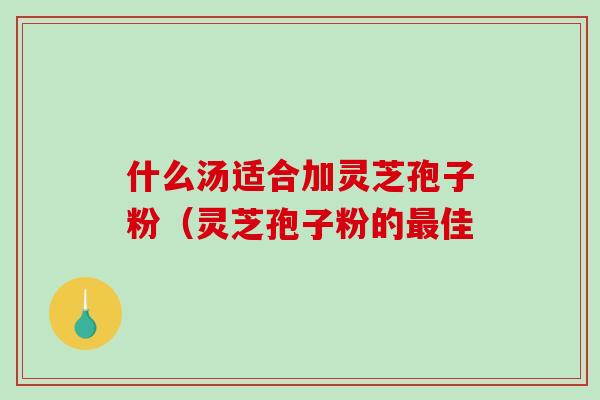 什么汤适合加灵芝孢子粉（灵芝孢子粉的最佳