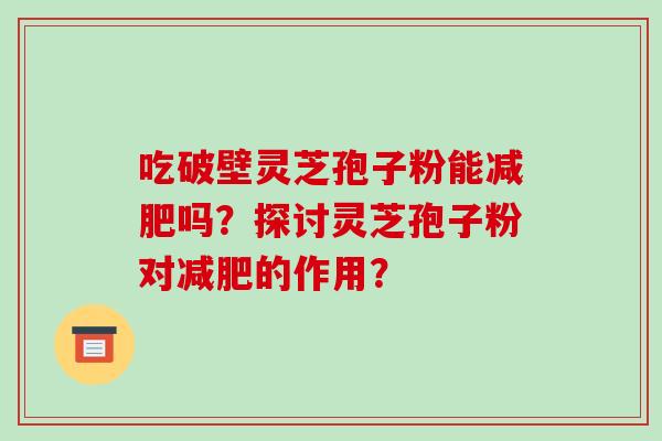 吃破壁灵芝孢子粉能减肥吗？探讨灵芝孢子粉对减肥的作用？
