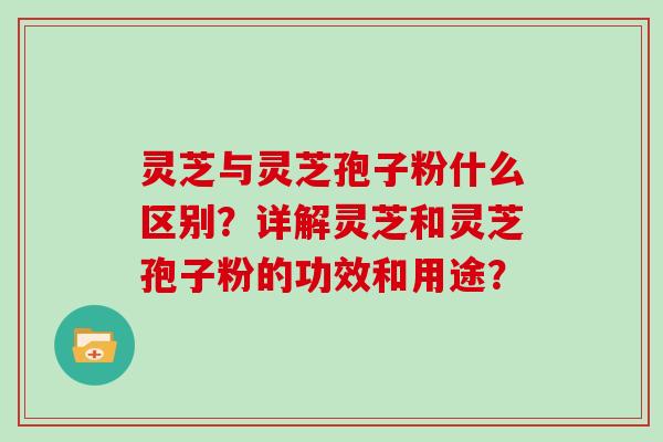 灵芝与灵芝孢子粉什么区别?详解灵芝和灵芝孢子粉的功效和用途? 灵芝与灵芝孢子粉什么区别?详解灵芝和灵芝孢子粉的功效和用途?