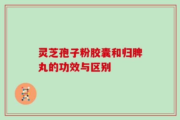 灵芝孢子粉胶囊和归脾丸的功效与区别