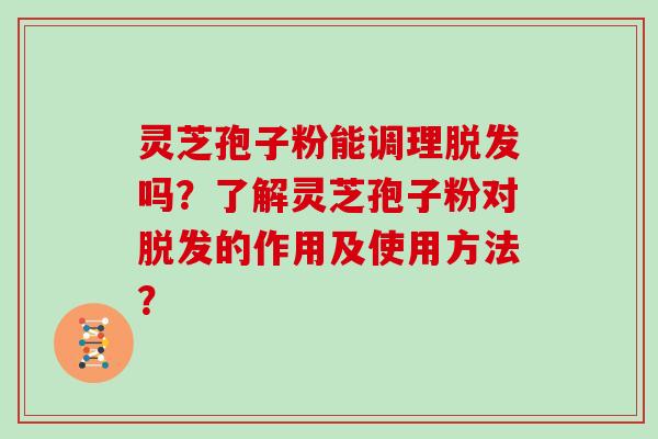灵芝孢子粉能调理吗?了解灵芝孢子粉对的作用及使用方法? 灵芝孢子粉能调理吗?了解灵芝孢子粉对的作用及使用方法?