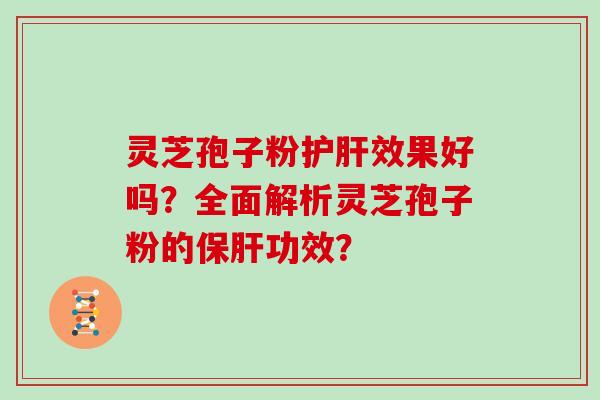 灵芝孢子粉护肝效果好吗？全面解析灵芝孢子粉的保肝功效？