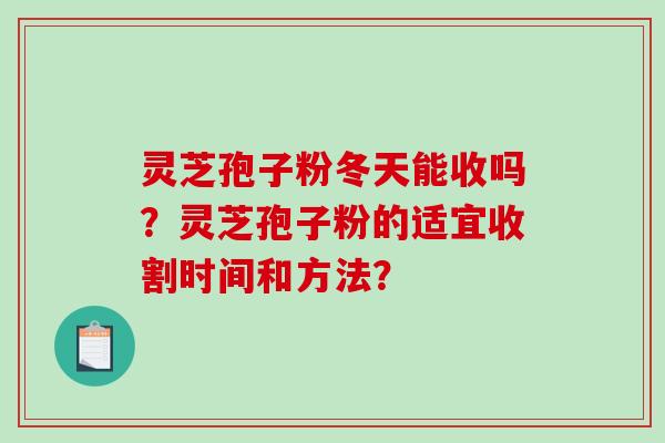 灵芝孢子粉冬天能收吗?灵芝孢子粉的适宜收割时间和方法? 灵芝孢子粉冬天能收吗?灵芝孢子粉的适宜收割时间和方法?