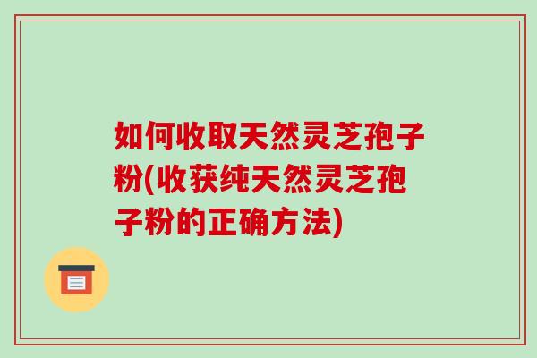 如何收取天然灵芝孢子粉(收获纯天然灵芝孢子粉的正确方法)