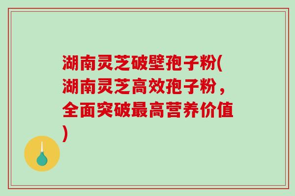 湖南灵芝破壁孢子粉(湖南灵芝高效孢子粉，全面突破最高营养价值)