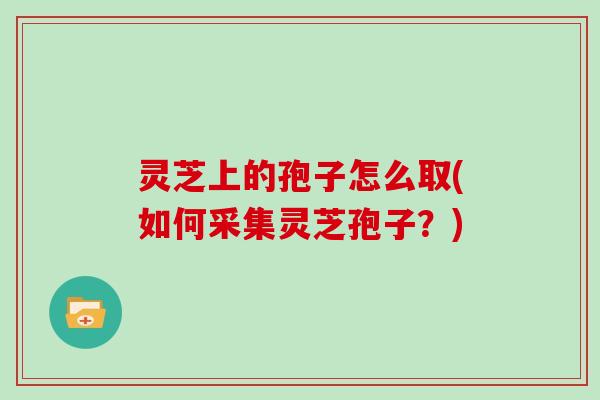 灵芝上的孢子怎么取(如何采集灵芝孢子?) 灵芝上的孢子怎么取(如何采集灵芝孢子?)