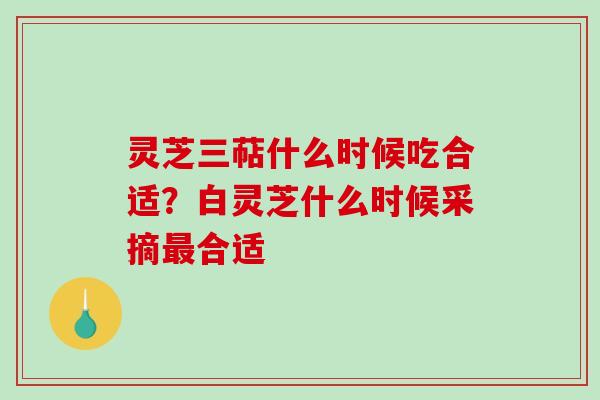 灵芝三萜什么时候吃合适？白灵芝什么时候采摘最合适