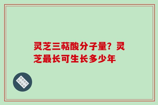 灵芝三萜酸分子量？灵芝最长可生长多少年