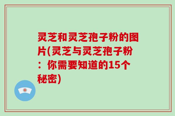 灵芝和灵芝孢子粉的图片(灵芝与灵芝孢子粉:你需要知道的15个秘密) 灵芝和灵芝孢子粉的图片(灵芝与灵芝孢子粉:你需要知道的15个秘密)