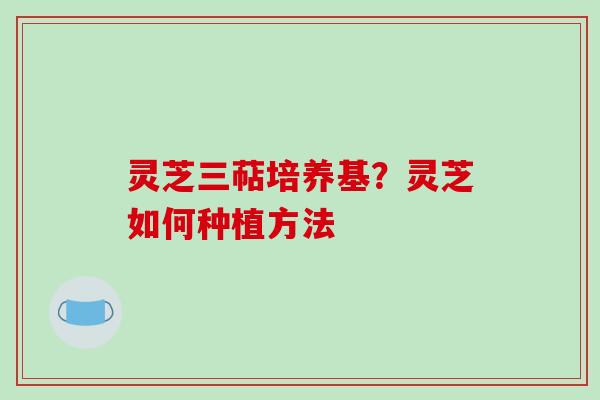 灵芝三萜培养基？灵芝如何种植方法