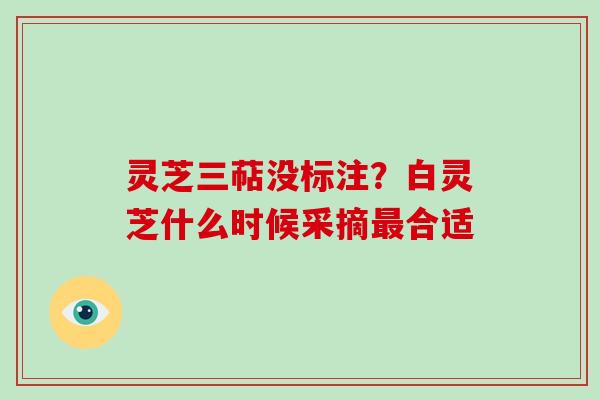灵芝三萜没标注？白灵芝什么时候采摘最合适