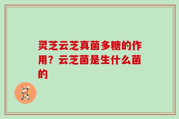 灵芝云芝真菌多糖的作用？云芝菌是生什么菌的