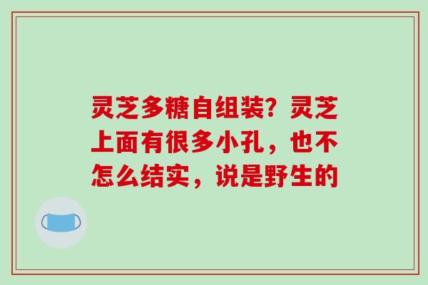 灵芝多糖自组装？灵芝上面有很多小孔，也不怎么结实，说是野生的