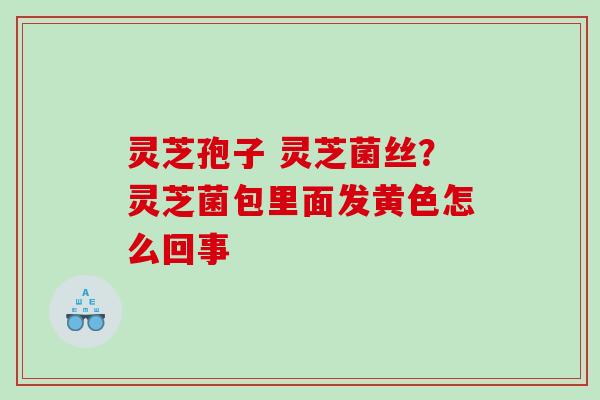 灵芝孢子 灵芝菌丝？灵芝菌包里面发黄色怎么回事