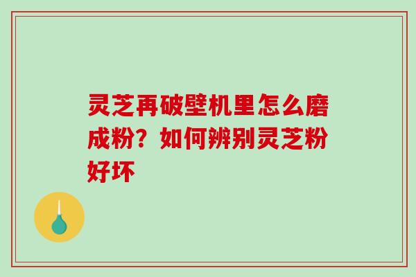 灵芝再破壁机里怎么磨成粉?如何辨别灵芝粉好坏 灵芝再破壁机里怎么磨成粉?如何辨别灵芝粉好坏
