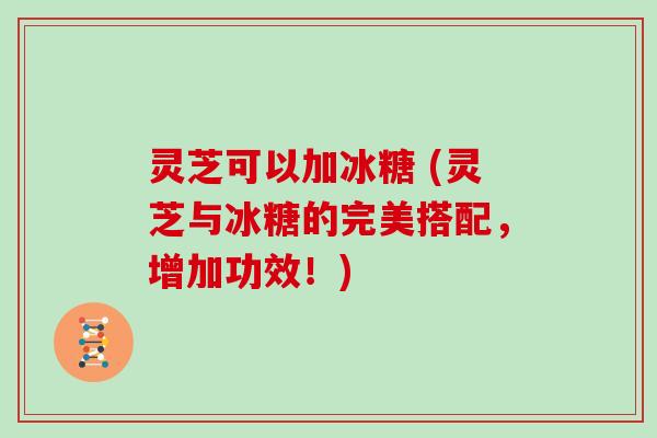 灵芝可以加冰糖 (灵芝与冰糖的完美搭配，增加功效！)