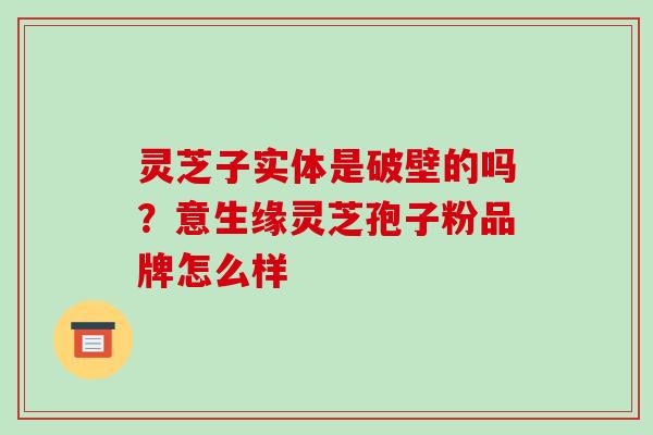 灵芝子实体是破壁的吗？意生缘灵芝孢子粉品牌怎么样