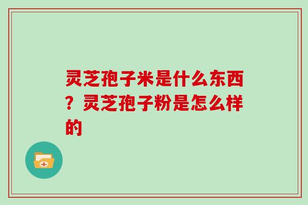灵芝孢子米是什么东西？灵芝孢子粉是怎么样的