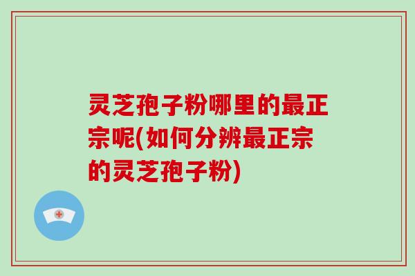 灵芝孢子粉哪里的最正宗呢(如何分辨最正宗的灵芝孢子粉)