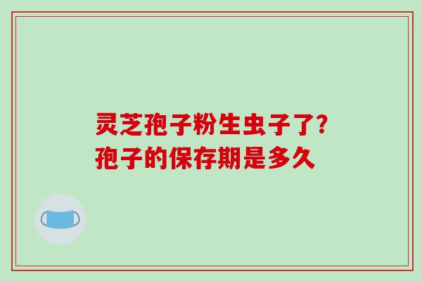 灵芝孢子粉生虫子了？孢子的保存期是多久