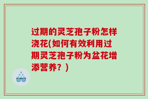 过期的灵芝孢子粉怎样浇花(如何有效利用过期灵芝孢子粉为盆花增添营养？)