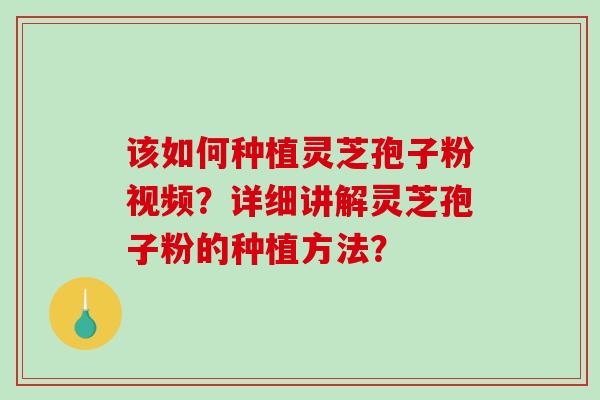 该如何种植灵芝孢子粉视频？详细讲解灵芝孢子粉的种植方法？