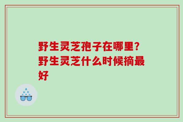 野生灵芝孢子在哪里？野生灵芝什么时候摘最好
