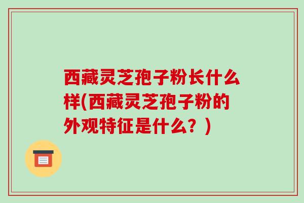 西藏灵芝孢子粉长什么样(西藏灵芝孢子粉的外观特征是什么？)