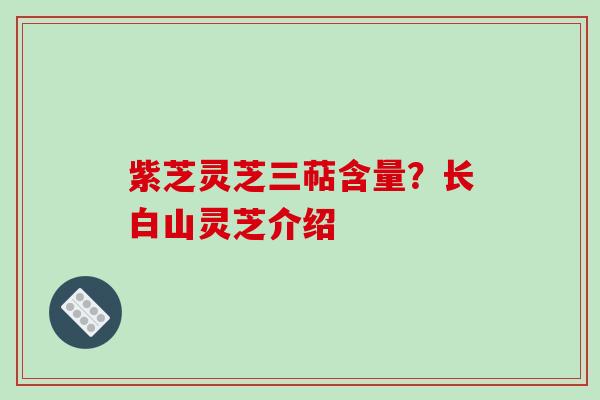紫芝灵芝三萜含量？长白山灵芝介绍