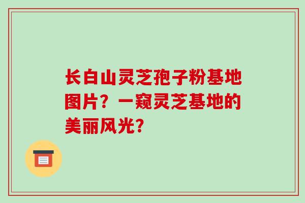 长白山灵芝孢子粉基地图片？一窥灵芝基地的美丽风光？