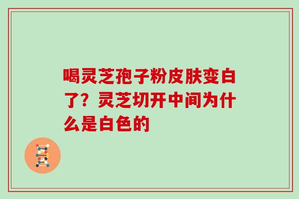 喝灵芝孢子粉皮肤变白了？灵芝切开中间为什么是白色的