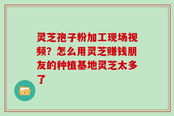 灵芝孢子粉加工现场视频？怎么用灵芝赚钱朋友的种植基地灵芝太多了