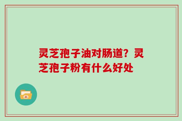 灵芝孢子油对肠道？灵芝孢子粉有什么好处
