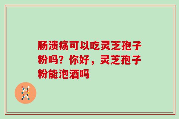 肠溃疡可以吃灵芝孢子粉吗?你好,灵芝孢子粉能泡酒吗 肠溃疡可以吃灵芝孢子粉吗?你好,灵芝孢子粉能泡酒吗
