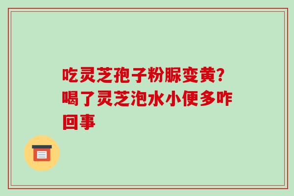 吃灵芝孢子粉脲变黄?喝了灵芝泡水小便多咋回事 吃灵芝孢子粉脲变黄?喝了灵芝泡水小便多咋回事