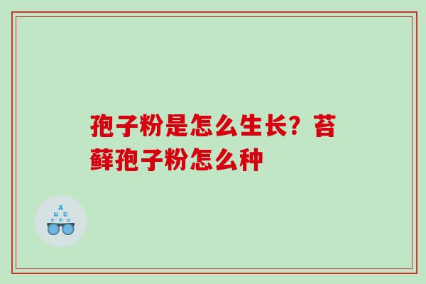 孢子粉是怎么生长?苔藓孢子粉怎么种 孢子粉是怎么生长?苔藓孢子粉怎么种
