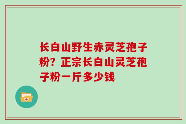 长白山野生赤灵芝孢子粉？正宗长白山灵芝孢子粉一斤多少钱