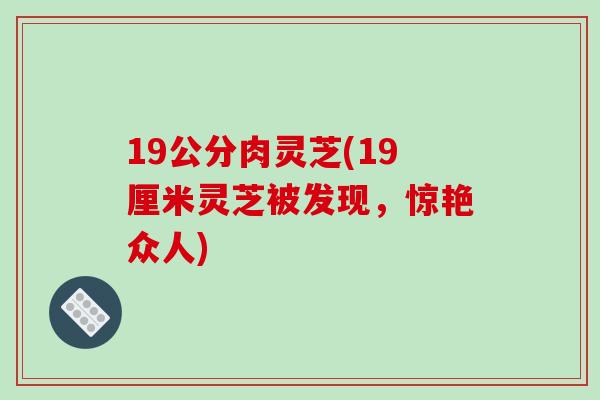 19公分肉灵芝(19厘米灵芝被发现，惊艳众人)