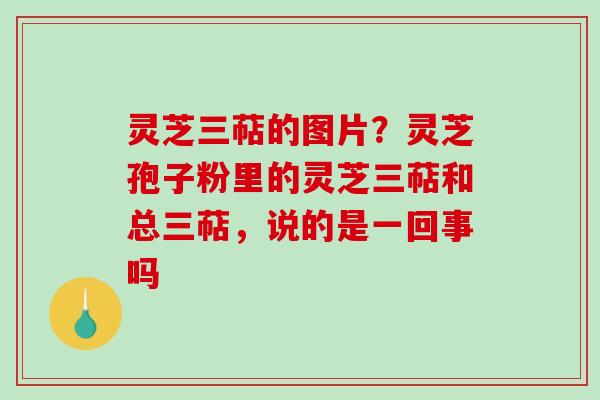 灵芝三萜的图片？灵芝孢子粉里的灵芝三萜和总三萜，说的是一回事吗