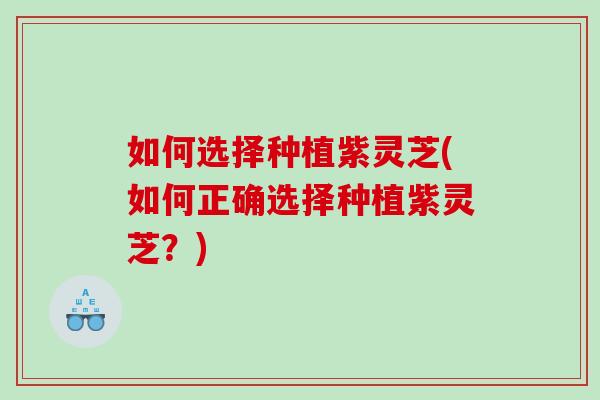 如何选择种植紫灵芝(如何正确选择种植紫灵芝？)