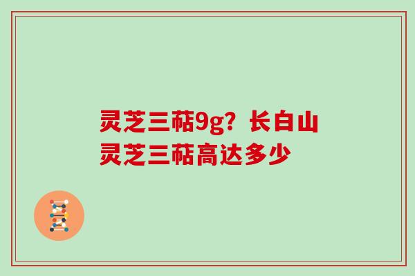 灵芝三萜9g？长白山灵芝三萜高达多少