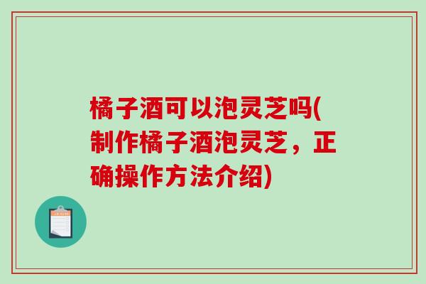 橘子酒可以泡灵芝吗(制作橘子酒泡灵芝，正确操作方法介绍)