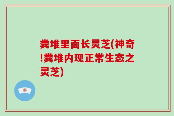 粪堆里面长灵芝(神奇!粪堆内现正常生态之灵芝) 粪堆里面长灵芝(神奇!粪堆内现正常生态之灵芝)