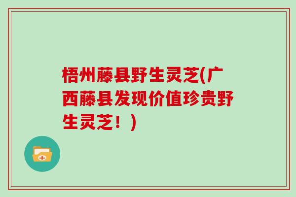 梧州藤县野生灵芝(广西藤县发现价值珍贵野生灵芝!) 梧州藤县野生灵芝(广西藤县发现价值珍贵野生灵芝!)