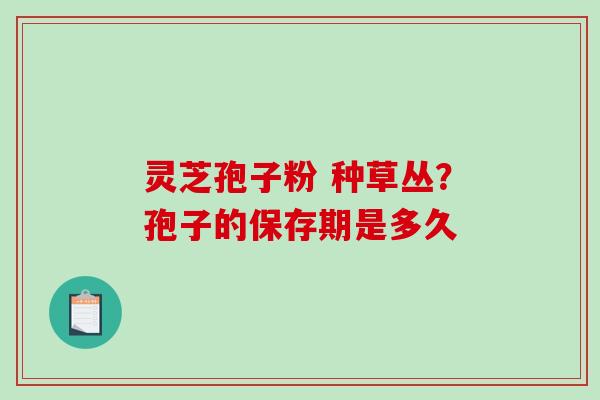 灵芝孢子粉 种草丛？孢子的保存期是多久