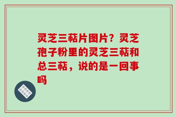 灵芝三萜片图片?灵芝孢子粉里的灵芝三萜和总三萜,说的是一回事吗 灵芝三萜片图片?灵芝孢子粉里的灵芝三萜和总三萜,说的是一回事吗