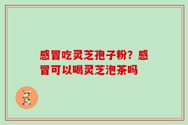 吃灵芝孢子粉?可以喝灵芝泡茶吗 吃灵芝孢子粉?可以喝灵芝泡茶吗