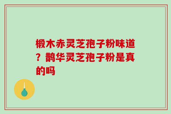 椴木赤灵芝孢子粉味道?鹊华灵芝孢子粉是真的吗 椴木赤灵芝孢子粉味道?鹊华灵芝孢子粉是真的吗