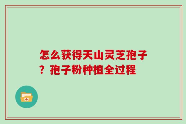 怎么获得天山灵芝孢子?孢子粉种植全过程 怎么获得天山灵芝孢子?孢子粉种植全过程